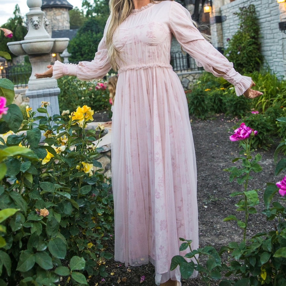 Ivy City Co Last Song Bird Dress